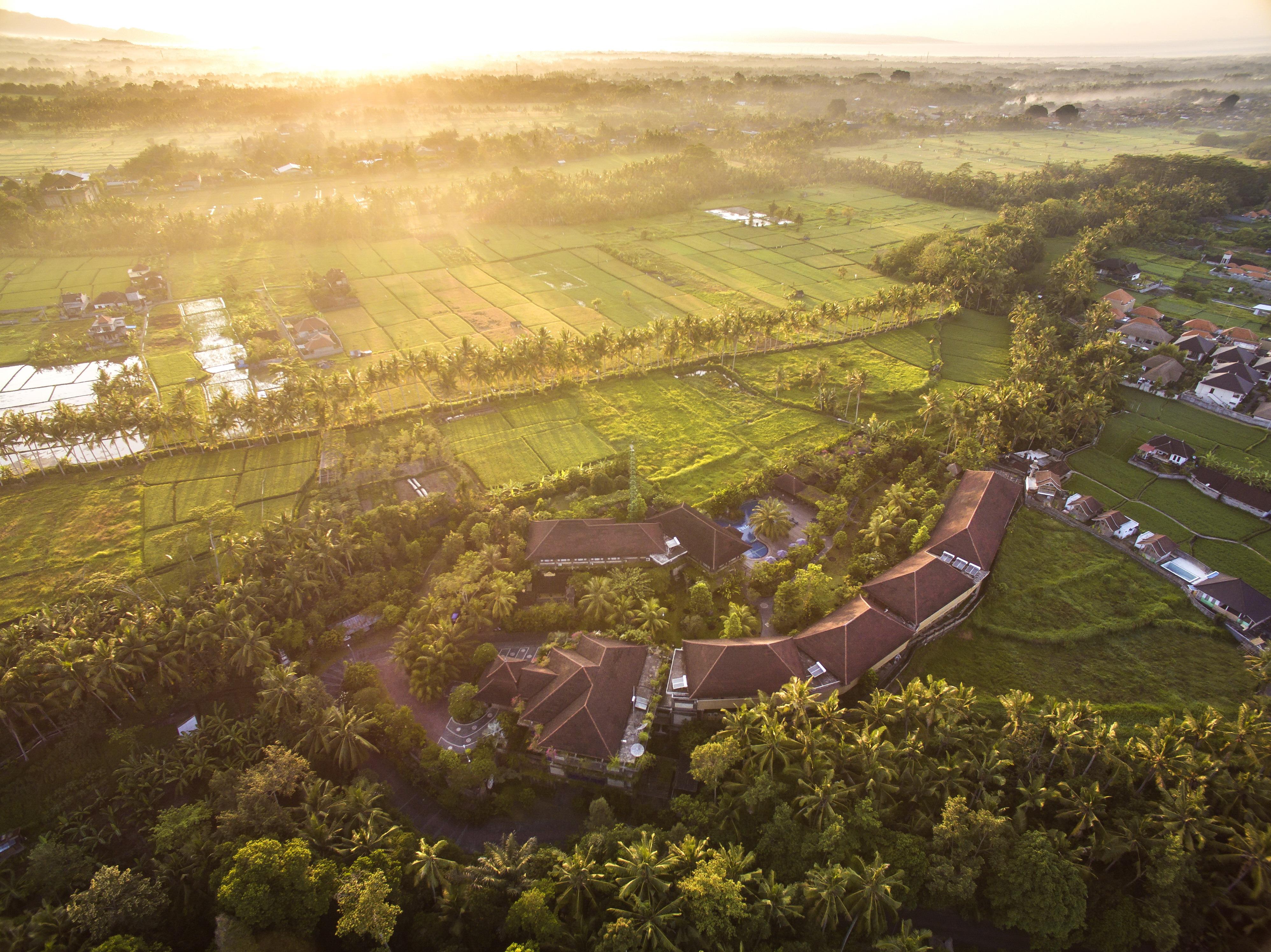 Bhuwana Ubud Hotel And Farming Exterior photo