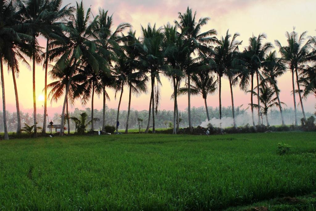 Bhuwana Ubud Hotel And Farming Exterior photo