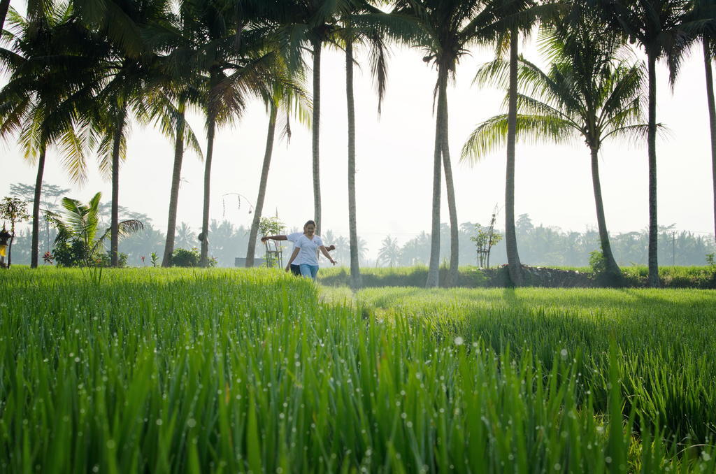 Bhuwana Ubud Hotel And Farming Exterior photo